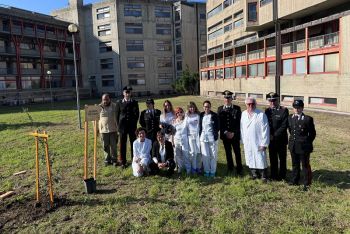 “Un albero per la salute”: una quercia piantata all’ospedale San Bartolomeo di Sarzana