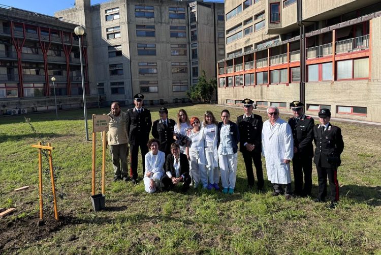 “Un albero per la salute”: una quercia piantata all’ospedale San Bartolomeo di Sarzana