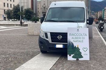 Regala una nuova vita al tuo albero di Natale