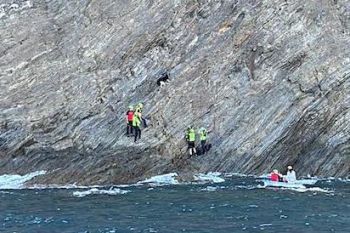 Parco Cinque Terre, salvo il caprone ferito a Punta Mesco