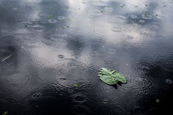 Lunedì 23 settembre allerta gialla su tutta la Liguria