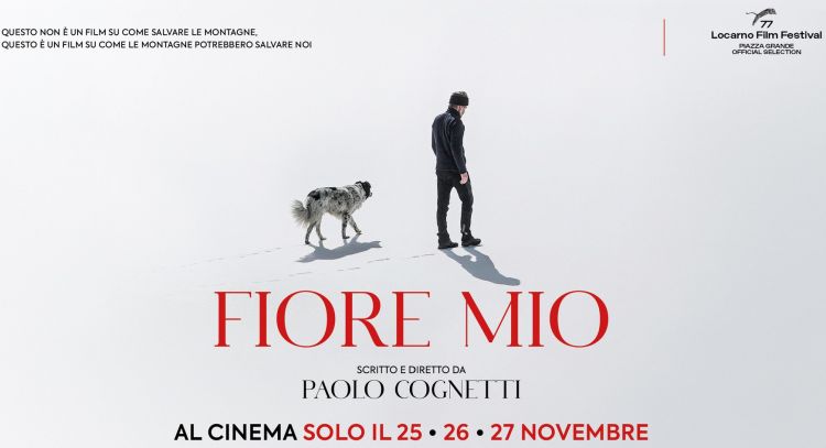 ‘Fiore mio’, Paolo Cognetti  arriva al cinema