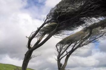 Avviso meteo per vento di burrasca sul centro e levante ligure