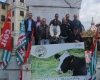 &quot;Vogliamo certezze sul futuro&quot;: gli operai di Marinella S.p.A. manifestano a Sarzana (videointervista)