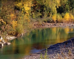 Un gruppo di lavoro per rilanciare il ruolo del Parco di Montemarcello