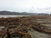 Materiali spiaggiati a Sarzana: prima la separazione dei rifiuti, poi il legno si può bruciare