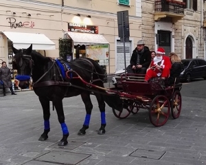 Il Natale vivilo in centro: weekend ricco di eventi e domenica bus navetta gratuito