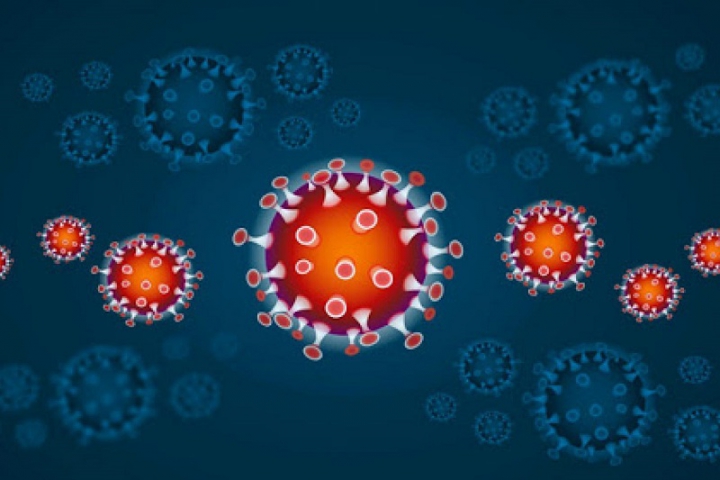 Coronavirus, il punto della situazione