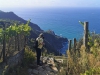 Quattro passi tra i borghi delle Cinque Terre