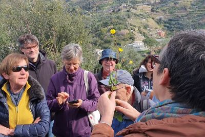 &quot;Andar per erbi&quot;, alla scoperta delle erbe liguri