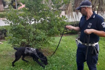 Blitz della Polizia Locale ai giardini: arrestato un ricercato e sorpresi da Jazz 2 minorenni con la droga