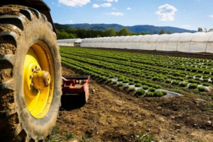 Liguria: al via il primo corso regionale di agricoltura sociale