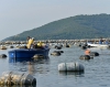 Pesca, 120mila euro al settore professionale