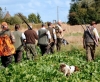 Posticipare di un mese la caccia al cinghiale: la proposta di Costa