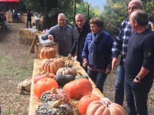 Agricoltura, Costa: &quot;Canoni allo Stato per i terreni demaniali? Dovrebbe essere il contrario&quot;