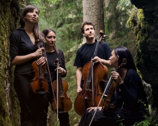 Il Quartetto Lyskamm torna all’Amfiteatrof Music Festival