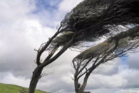 Allerta meteo per venti di burrasca su tutta la Regione