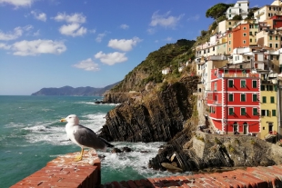 Riomaggiore, riaperto l&#039;accesso alla spiaggia della Fossola