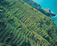 &quot;Le Cinque Terre ormai sono solo un brand da vendere&quot;