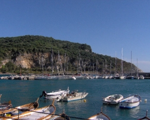 Paita (PD): &quot;La Palmaria come Capri? Noi diciamo no. Toti tenga giù le mani da questo Patrimonio dell&#039;Umanità&quot;