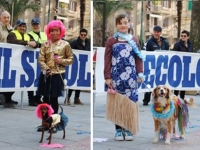 Carnevale a 4 zampe: divertimento, solidarietà e ricordo