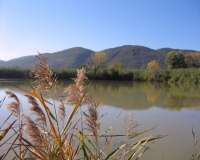 Parco di Montemarcello, Paita e Michelucci: &quot;La Giunta ha fatto calare il silenzio&quot;