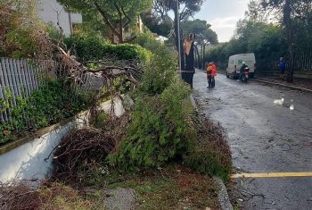 Emergenza alluvione, Confartigianato Toscana avvia una raccolta fondi