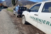Bocconi avvelenati a Ponzano Magra, i Carabinieri Forestali bonificano l&#039;area