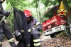 Piana Battolla, gattino di pochi giorni salvato dai Vigili del Fuoco