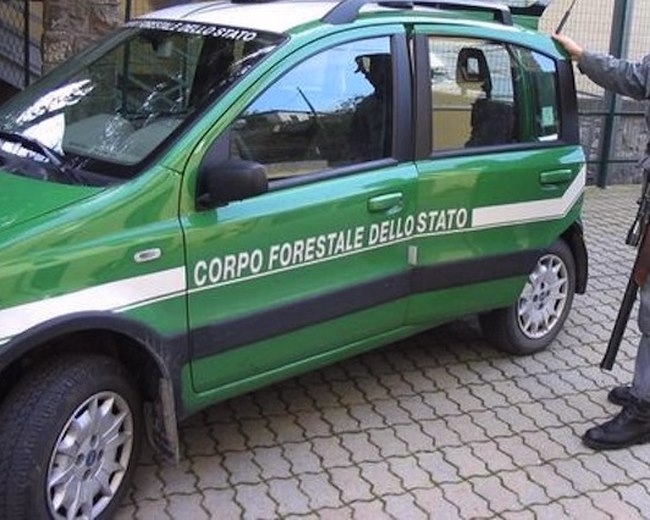 Italia Nostra: “No allo scioglimento della Forestale, a Spezia ha ottenuto grandi risultati”