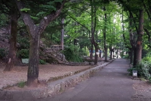 Parco della Rimembranza