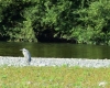 I sostenitori del Parco di Montemarcello si ritrovano a Sarzana