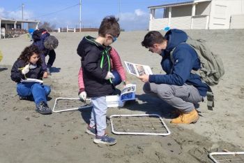 Bioblitz a Marinella: parte la campagna per la raccolta di dati costieri e pulizia spiagge