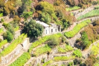 Riomaggiore, Bonanini: &quot;I rustici devono essere riconosciuti come abitazioni tipiche&quot;