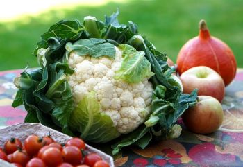 &quot;Fata Merenda&quot; approda a Sapori e Mestieri