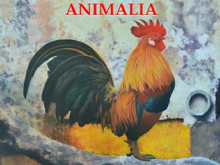 Animalia, una &quot;mostra diffusa&quot; a Varese Ligure