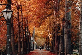 &quot;Autunno in 3D&quot;, laboratorio didattico in Mediateca