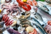 L&#039;allarme di Coldiretti: &quot;L&#039;UE mette a rischio molte imprese di pesca liguri&quot;