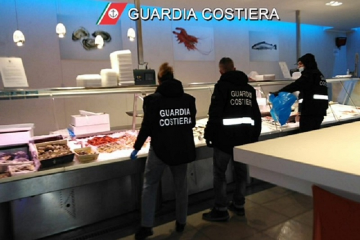 Controlli alla filiera ittica: sequestrati quaranta chili di prodotto e multe per oltre 20mila euro