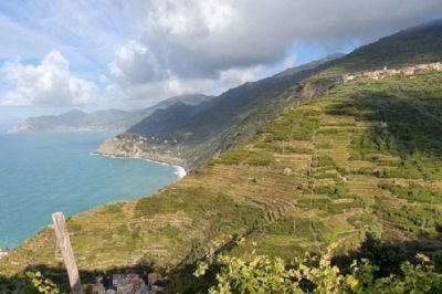 Vernazza in Vigna: per scoprire vini e viticoltori della Doc Cinque Terre