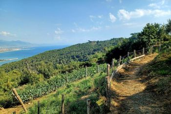 Ameglia, resi pienamente fruibili circa 5km di sentieri