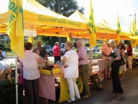 Nel centro di Pontremoli il mercato di Campagna Amica