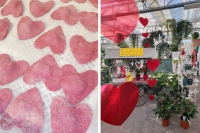 San Valentino: la Liguria si riempie di cuori