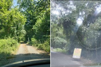 &quot;Strada Nasso-Alpicella dimenticata&quot;, la petizione di un gruppo di cittadini di Calice