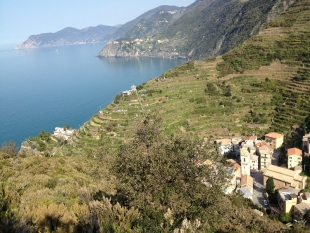 Cinque Terre, al via il progetto di recupero del sentiero storico &quot;La Beccara&quot;