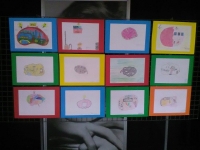 Settimana mondiale del cervello, tante iniziative anche alla Spezia