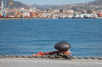 Il comitato &quot;Salviamo Genova e la Liguria&quot; raggiunge il Porto della Spezia