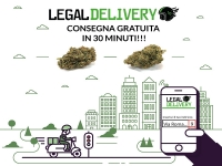 Legaldelivery sempre più leader di mercato