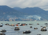 Emissioni dalle navi militari a Marola, i Murati Vivi: &quot;Per la Marina è vapore acqueo, ma per ARPAL l&#039;area è inquinata&quot;