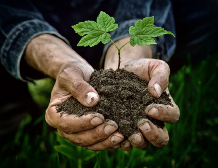 Lista Noi per il Futuro: &quot;L&#039;agricoltura al centro dei nostri programmi&quot;